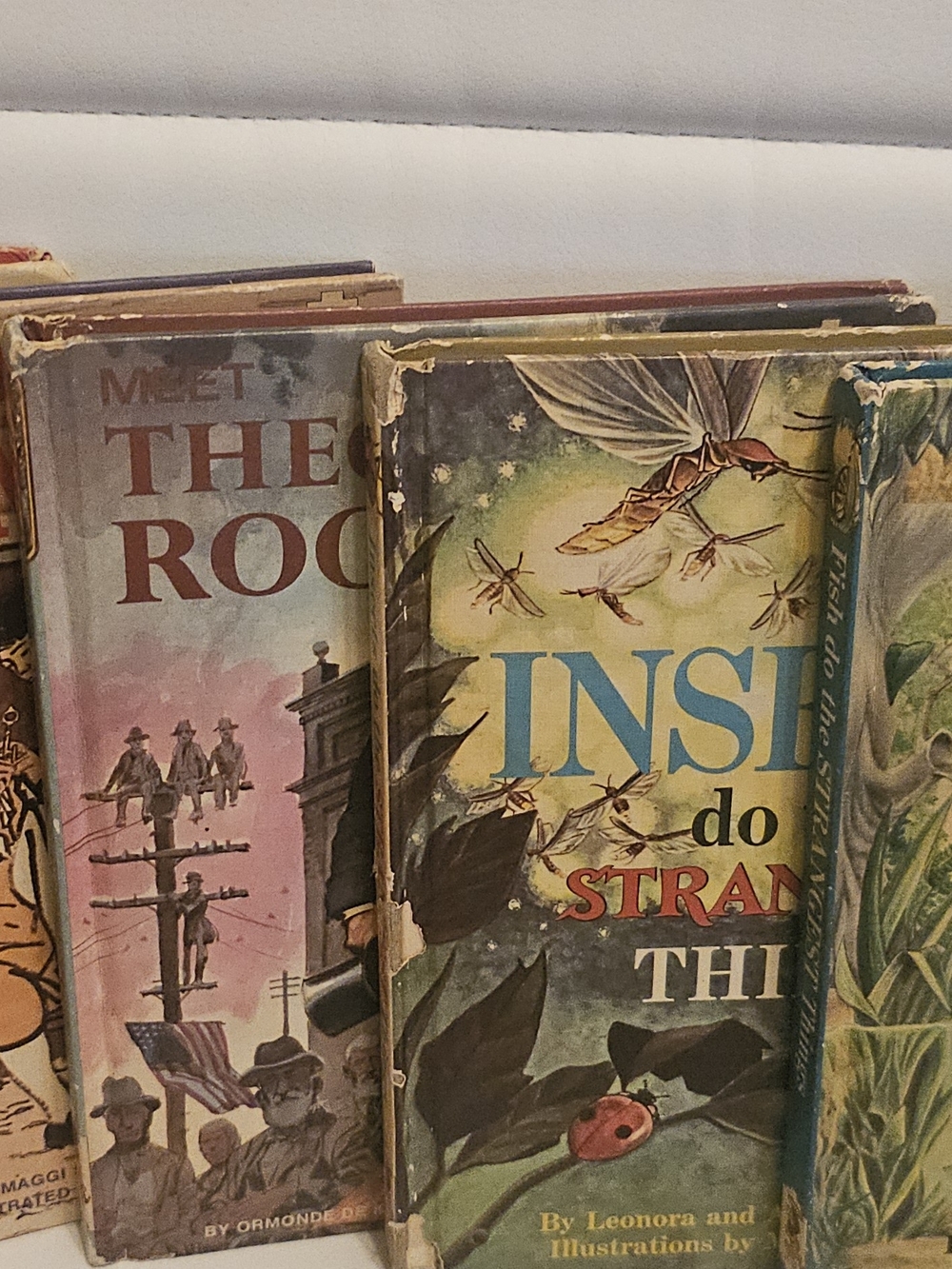 Antique Childrens Book Set